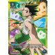 (UE02BT/HTR-1-006) Gon Freecss R*