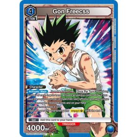 (UE02BT/HTR-1-007) Gon Freecss