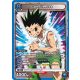 (UE02BT/HTR-1-007) Gon Freecss