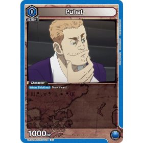 (UE02BT/HTR-1-014) Puhat