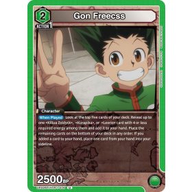 (UE02BT/HTR-1-076) Gon Freecss