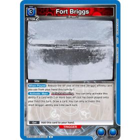 (UE09BT/FMA-1-063) Fort Briggs