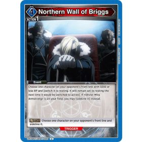 (UE09BT/FMA-1-066) Northern Wall of Briggs