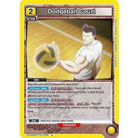 (UEX04BT/HTR-2-030) Dodgeball Court